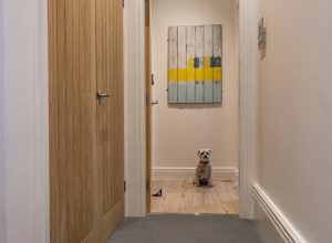 11 Sandbanks Apartment | Dog Friendly